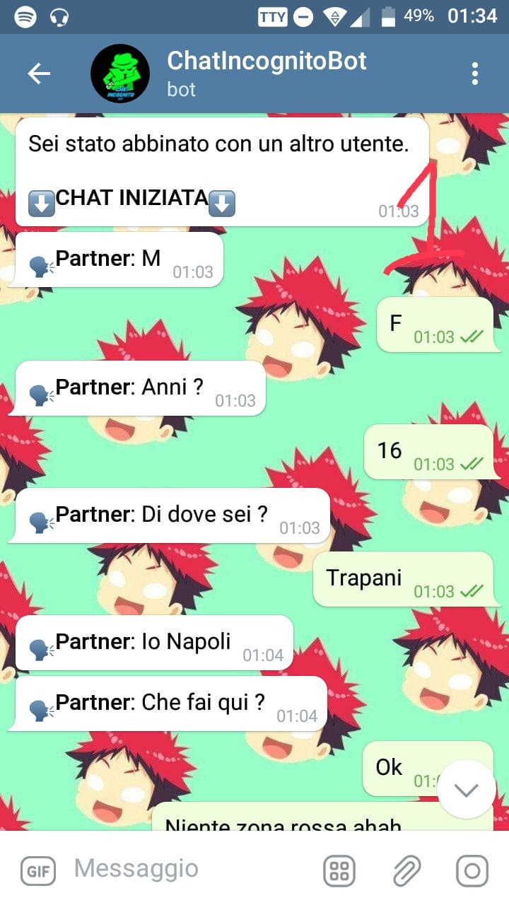 Tutto è iniziato con una discussione con un mio amico che insultava le persone del sud reputandoli tutti stronzi e coglioni perciò, io gli ho dimostrato che non è così. Mi sono finto una ragazza del sud che è contro i polentoni. La chat mi è piaciuta così 