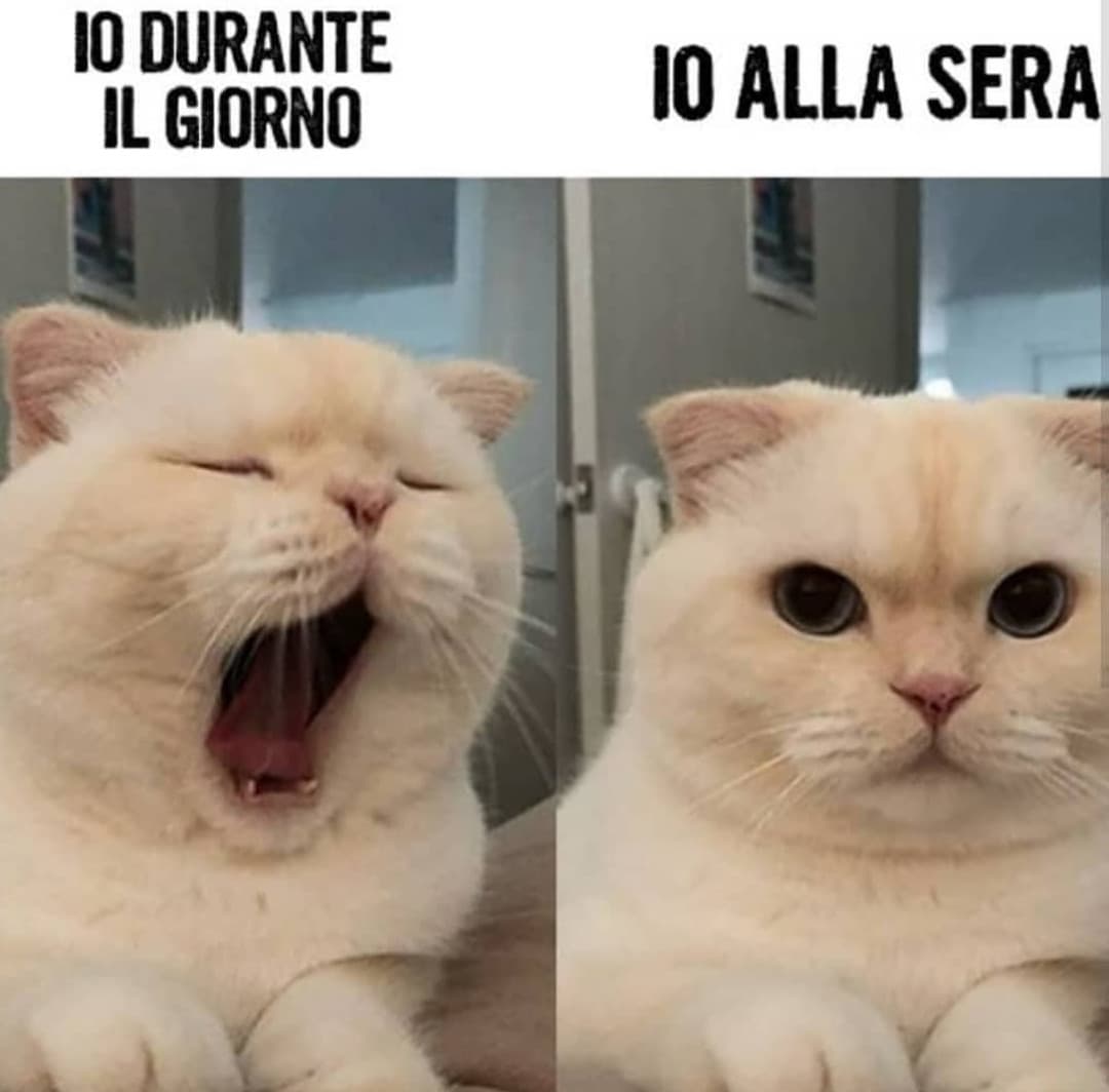 wow , sono io XD