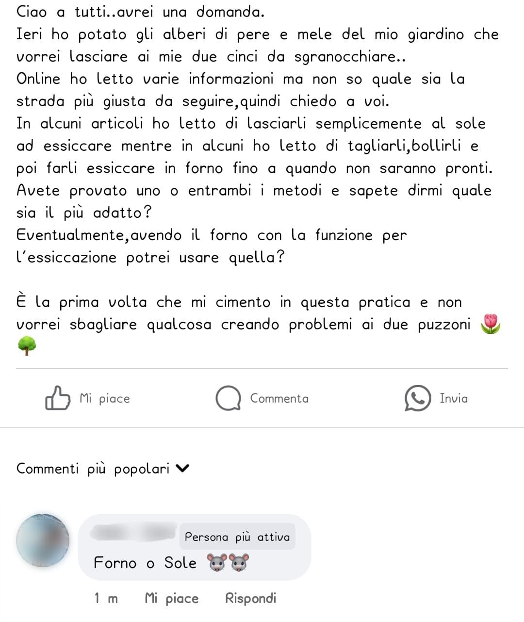 Sta tizia è rincoglionita altrimenti non si spiega perché mi sembra di aver fatto una richiesta in italiano corretto 😂