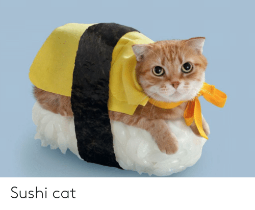 Ed ecco a voi IL GATTO SUSHI 