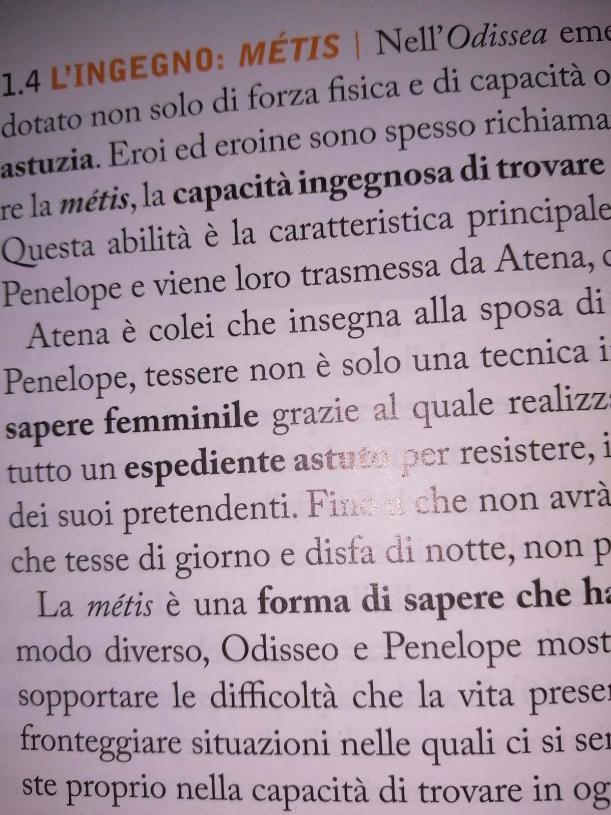 quanto odio pedagogia