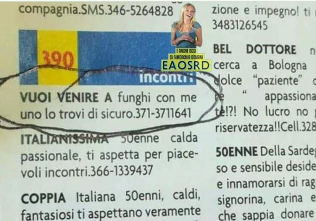 Perché andare a prostitute quando puoi andare a funghi?