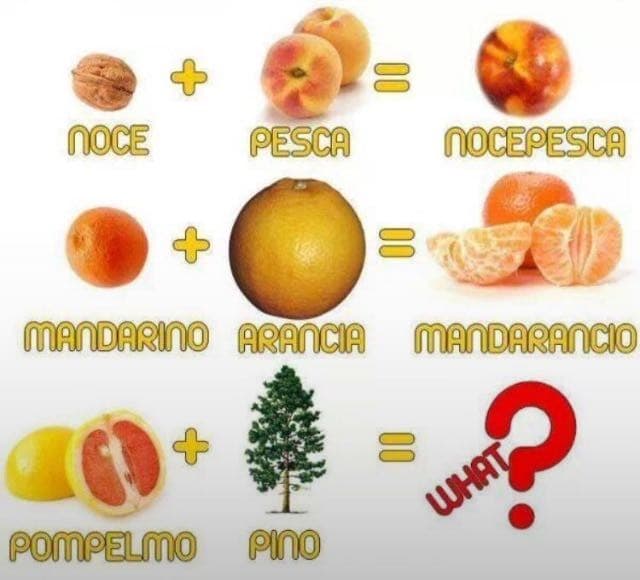 Secondo voi cosa può essere? ??