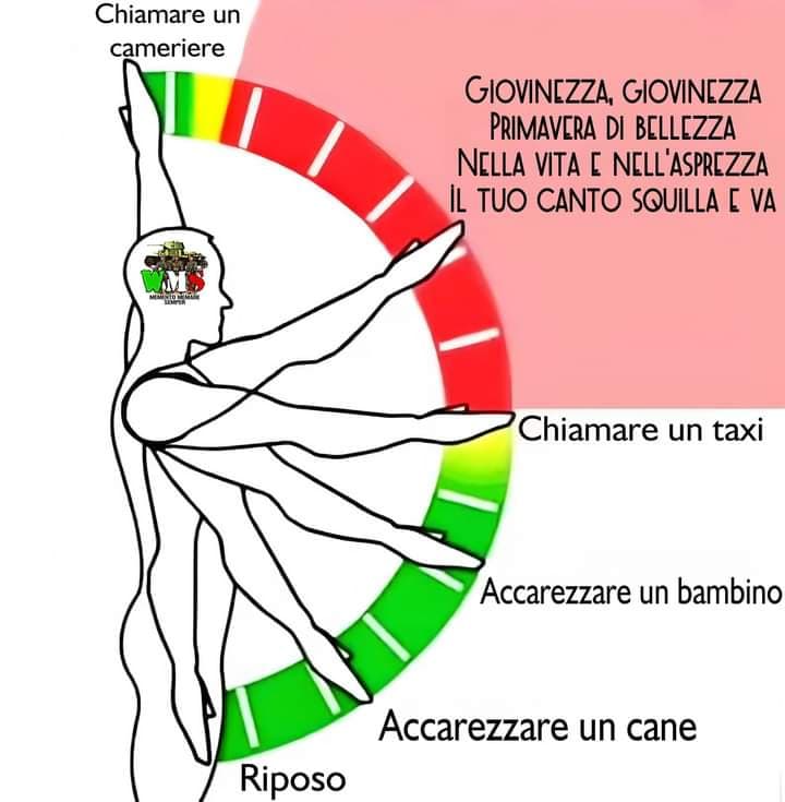 I gesti sono importanti 