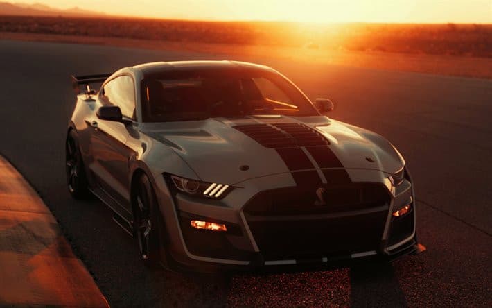 Una Mustang,un tramonto ,una spiaggia, due birre.... una ragazza. È tutto quello che mi serve