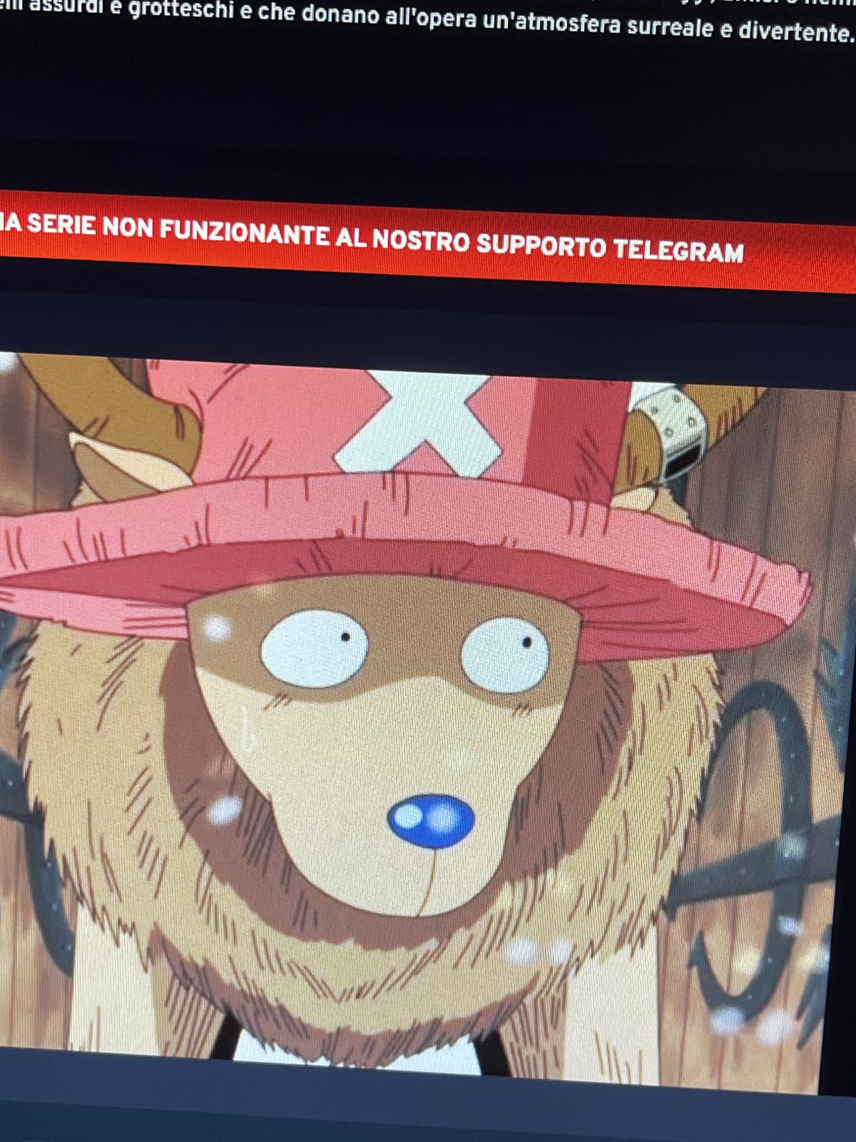 La backstory di Chopper è bellissima, ho pianto.