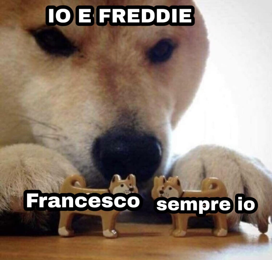 Lo so che fa schifo, ma ci ho provato