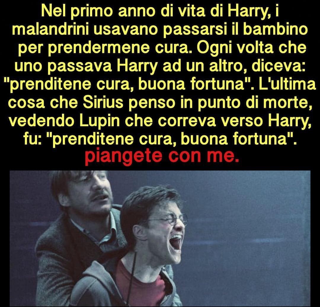 #harrypotter