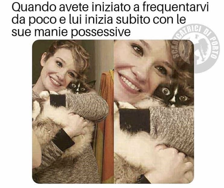 Ma gli occhi de gatto? Hahaha 