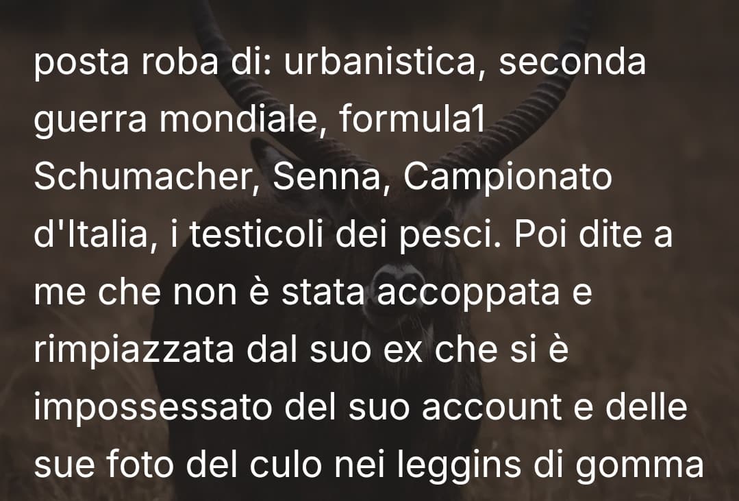 A scuola facevano comprensione del testo. Questo dimostra che la scuola italiana non funziona.