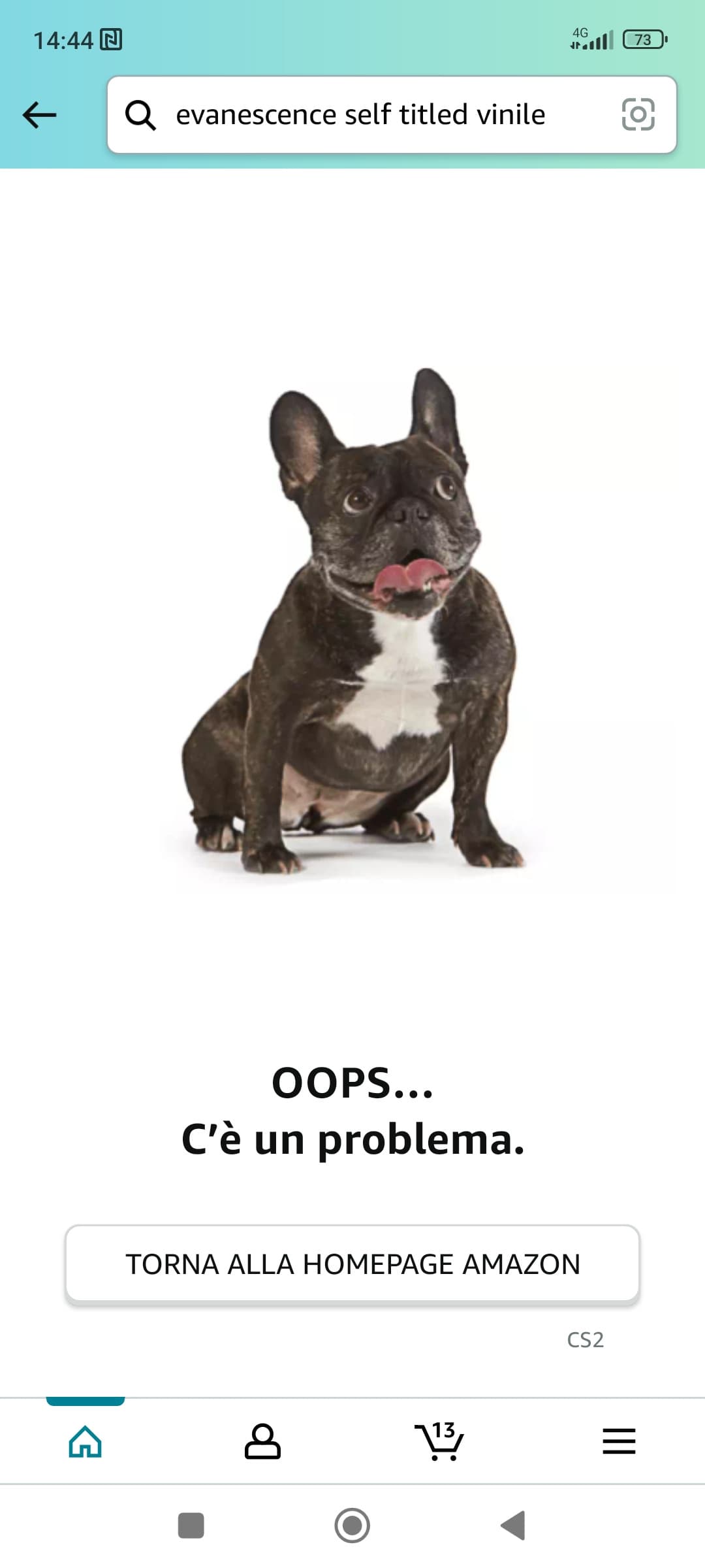 Da quando Amazon fa vedere foto di cani quando non c'è internet-