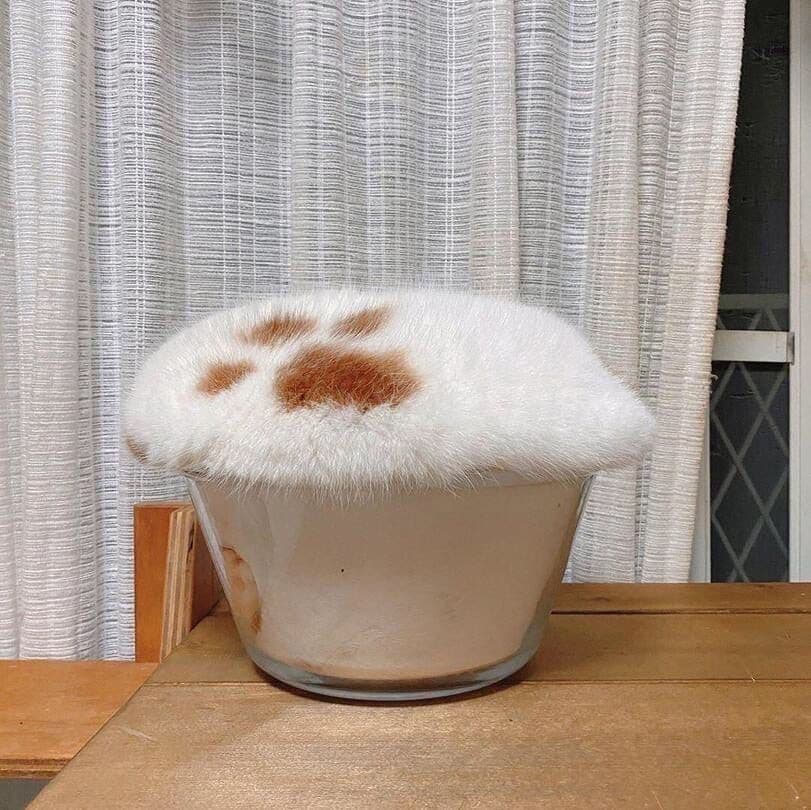 Catpuccino 