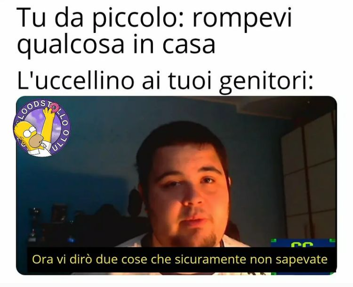 Brutto pennuto