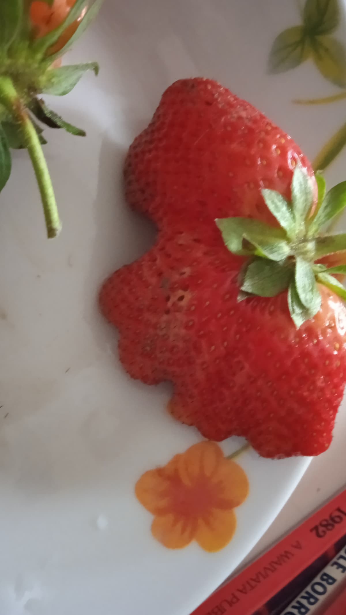 una tipica fragola 🍓 a Chernobyl 