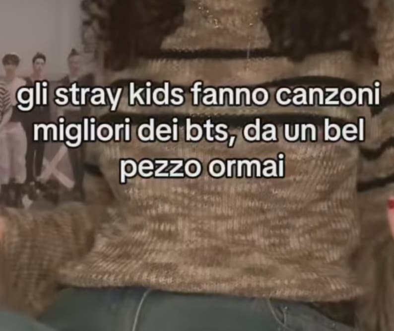 chi cazzo sono mo gli stray kids aiuto