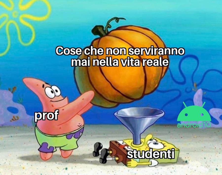 La scuola in un meme