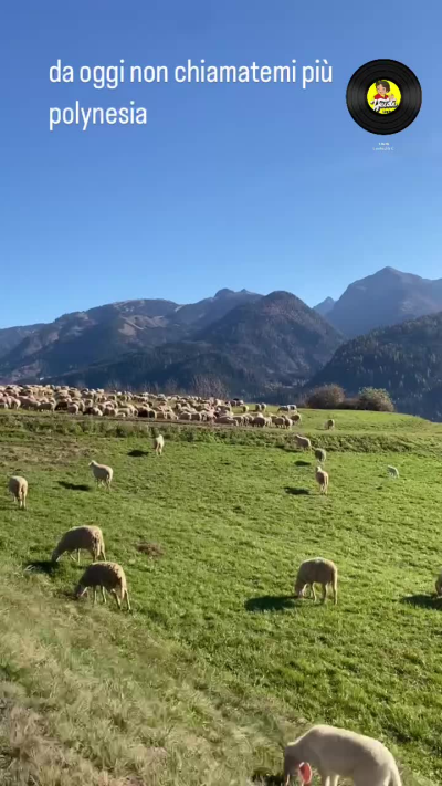 non io che mi trasferisco dal nord ancora più al nord