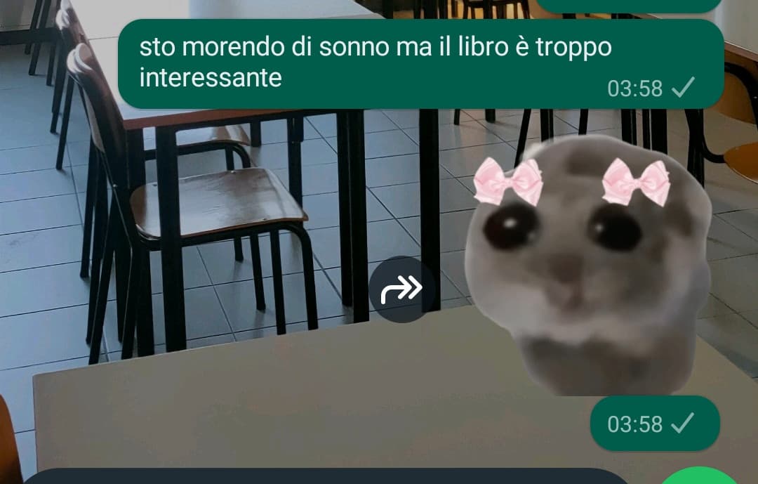 messaggi di un'idiota (io) 