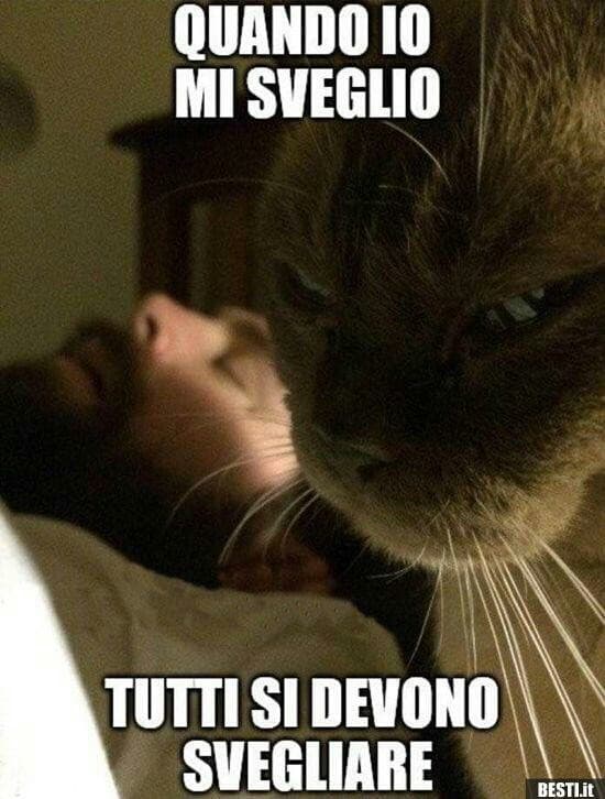 Svegliati...... 