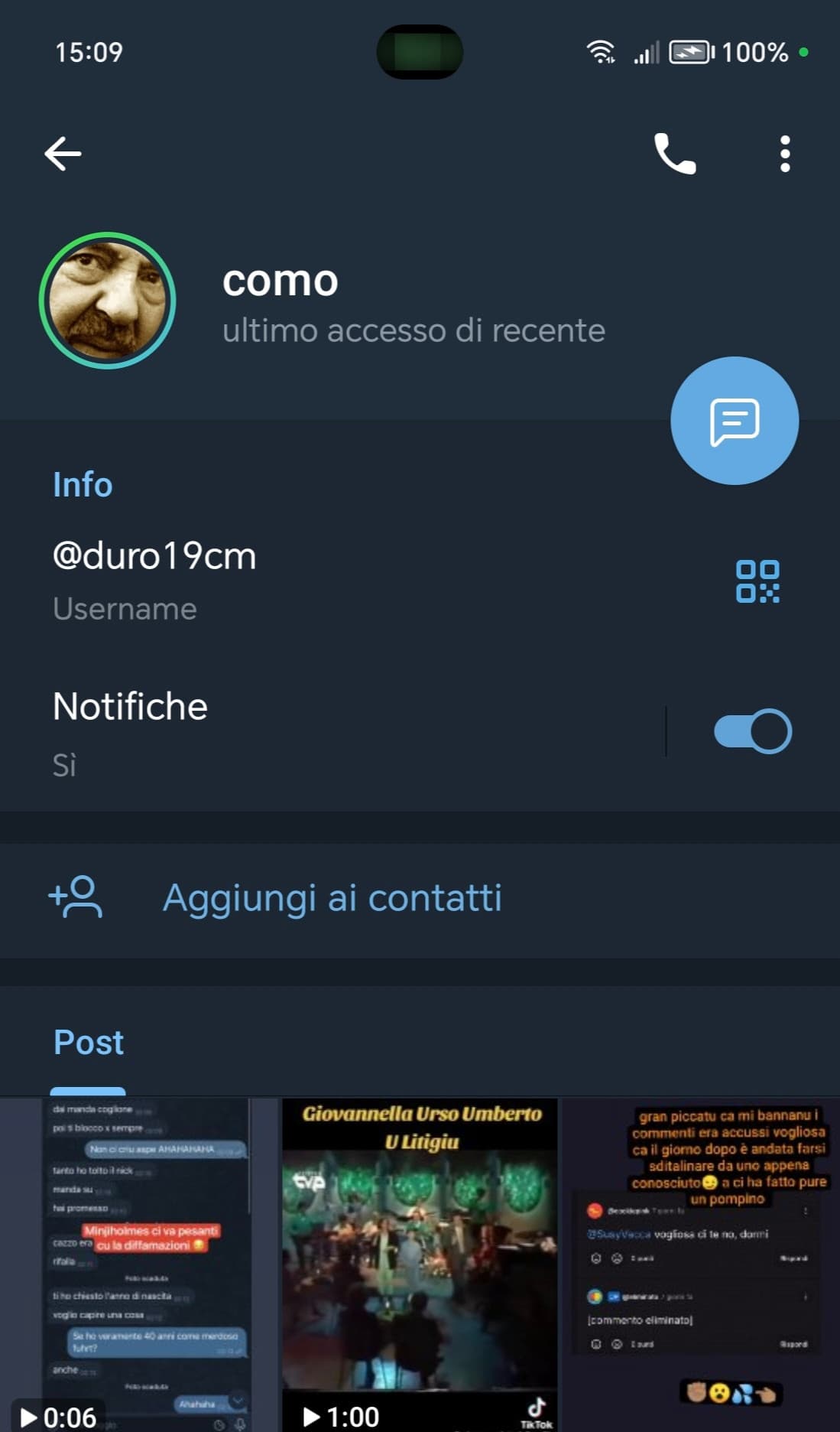 Il profilo Telegram del troll (siciliano, diffamatore di Eva e Minji, stalker di cookiepink, collezionista di foto altrui, e ha un pene nelle storie)