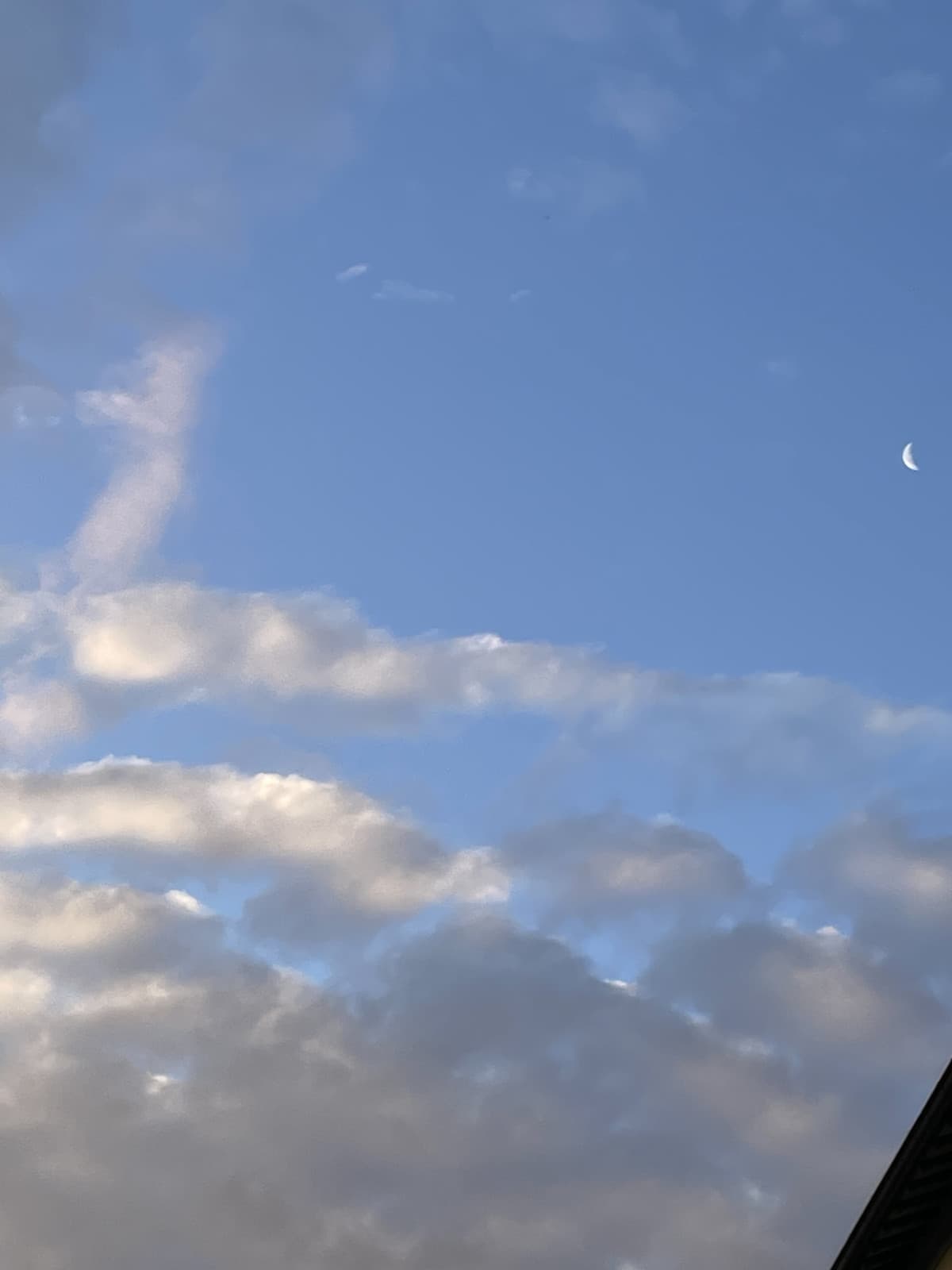 prima o poi la scoprirò la luna 