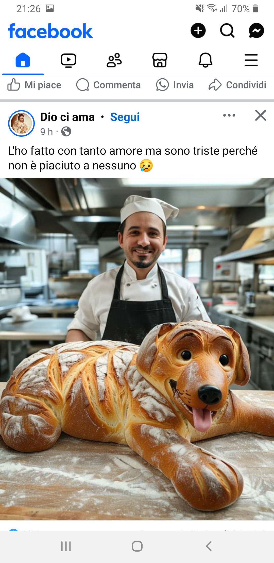 Si certo. Sempre la stessa scritta con lo fatto ma non è piaciuto a nessuno. Prendono per il culo con le foto finte fatte con l'Ia