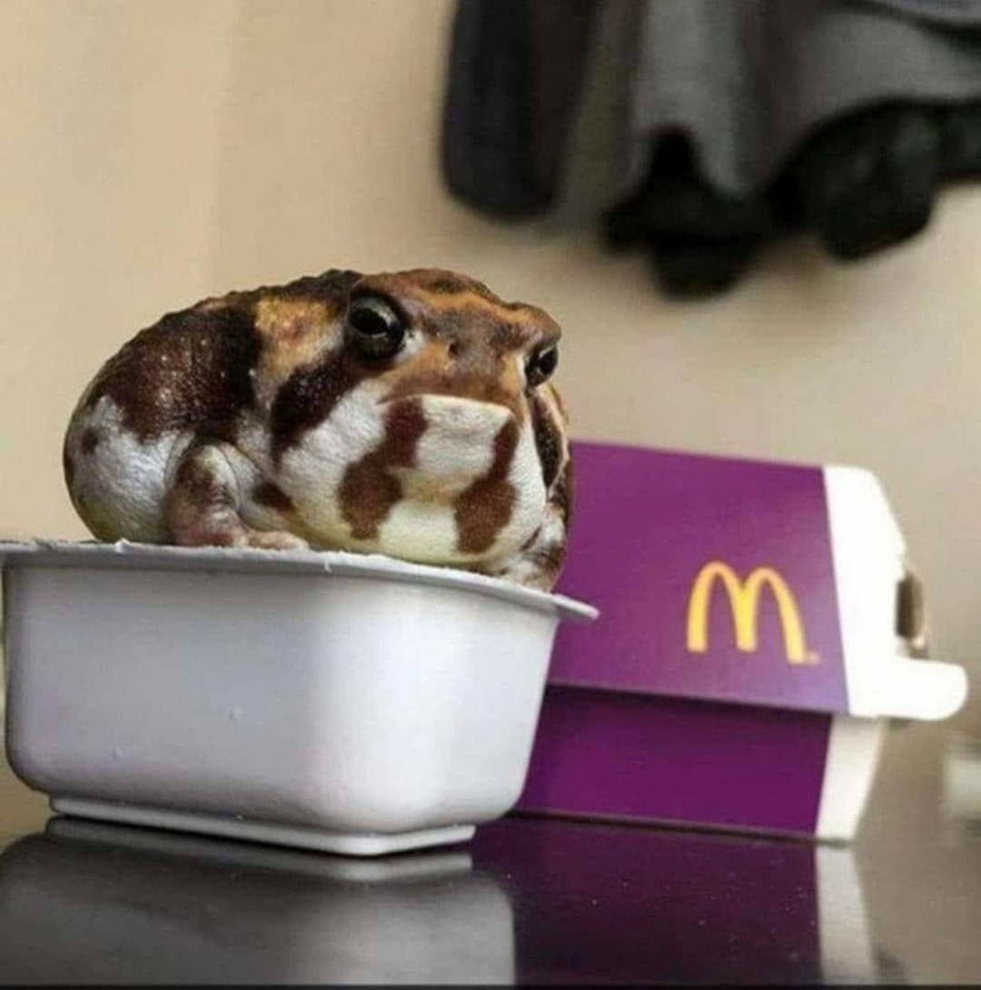 Flurry McFroggy