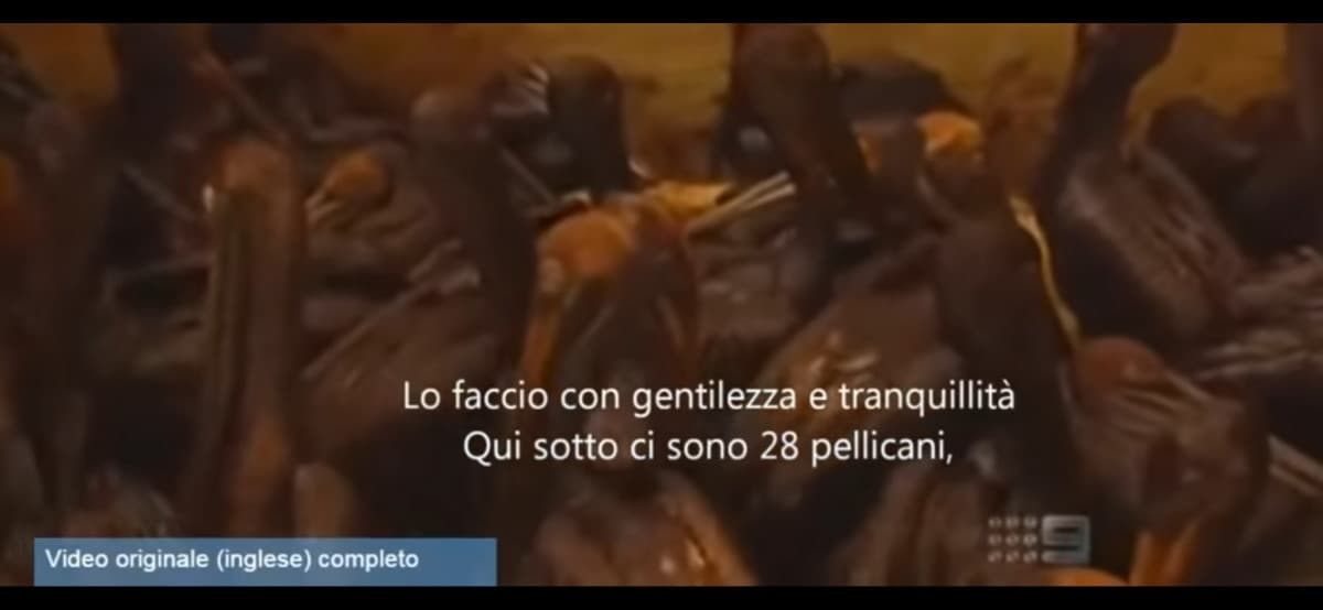 Un video che ci ha consigliato il prof https://youtu.be/H0bqzDXJEGo