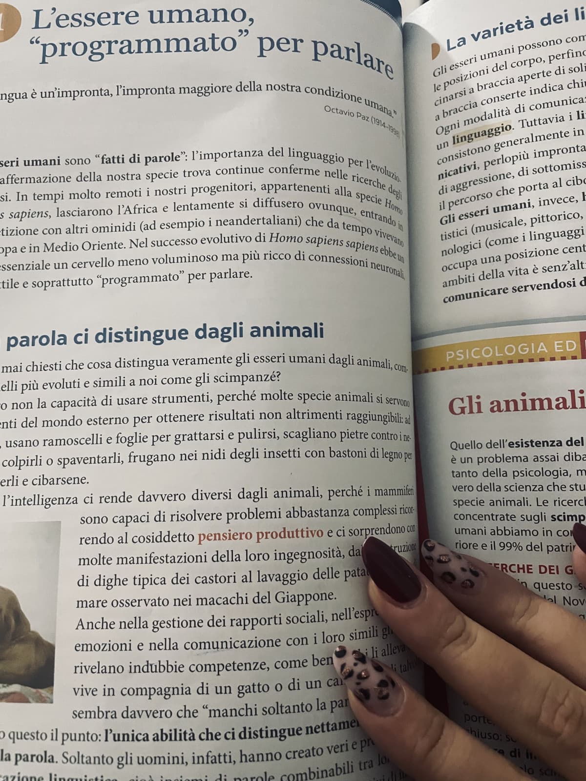 perché non mi hanno picchiato quando ho scelto lo scienze umane. tornassi indietro di 2 anni sceglierei l’agrario