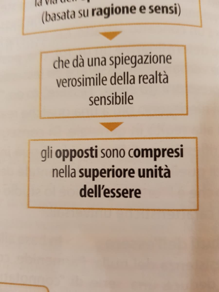 Ma perchè solo "ompresi" è in grassetto? povera c...