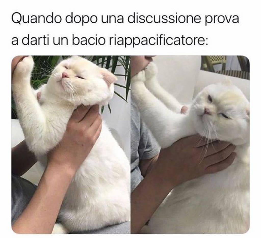 tipico delle ragazze