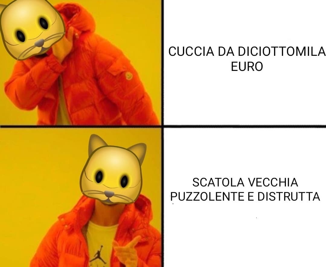 Logica gattesca PT2