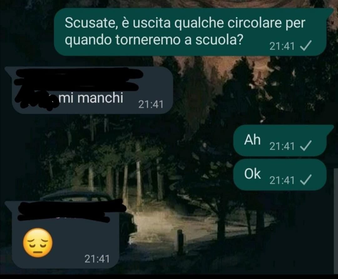 Io amo i miei compagni. 