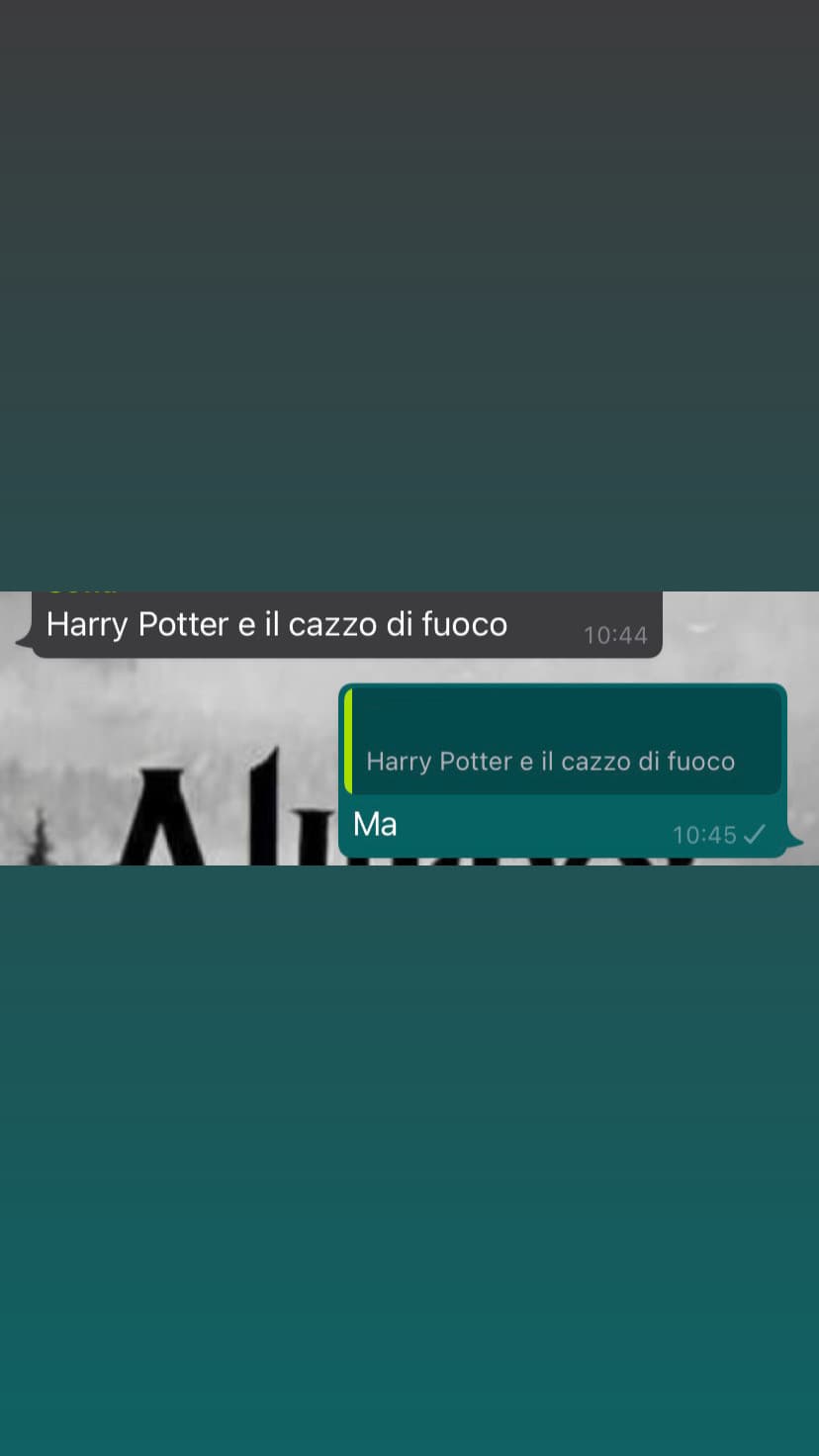 Harry potter e il cazzo di fuoco