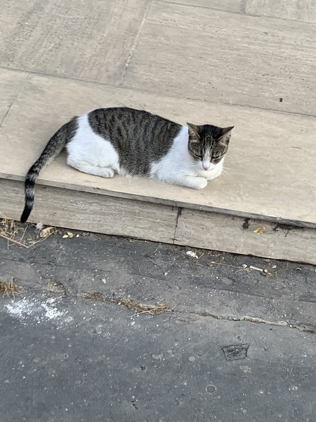 Ciao bimba problemi sparisci nel nulla, ti do un bacino, voglio le coccole 