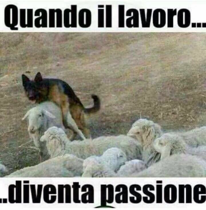 NON HO PAROLE