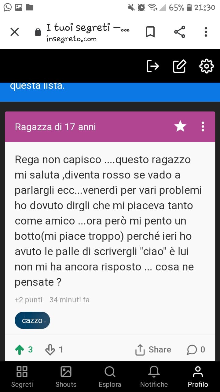 Ho rotto il Cazzo ..lo so, ma ho bisogno di più pareri 