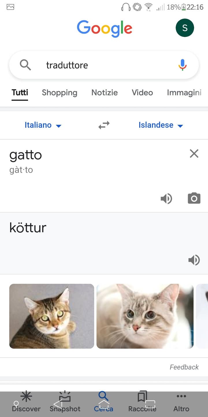 Gatto in varie lingue del mondo pt. 2