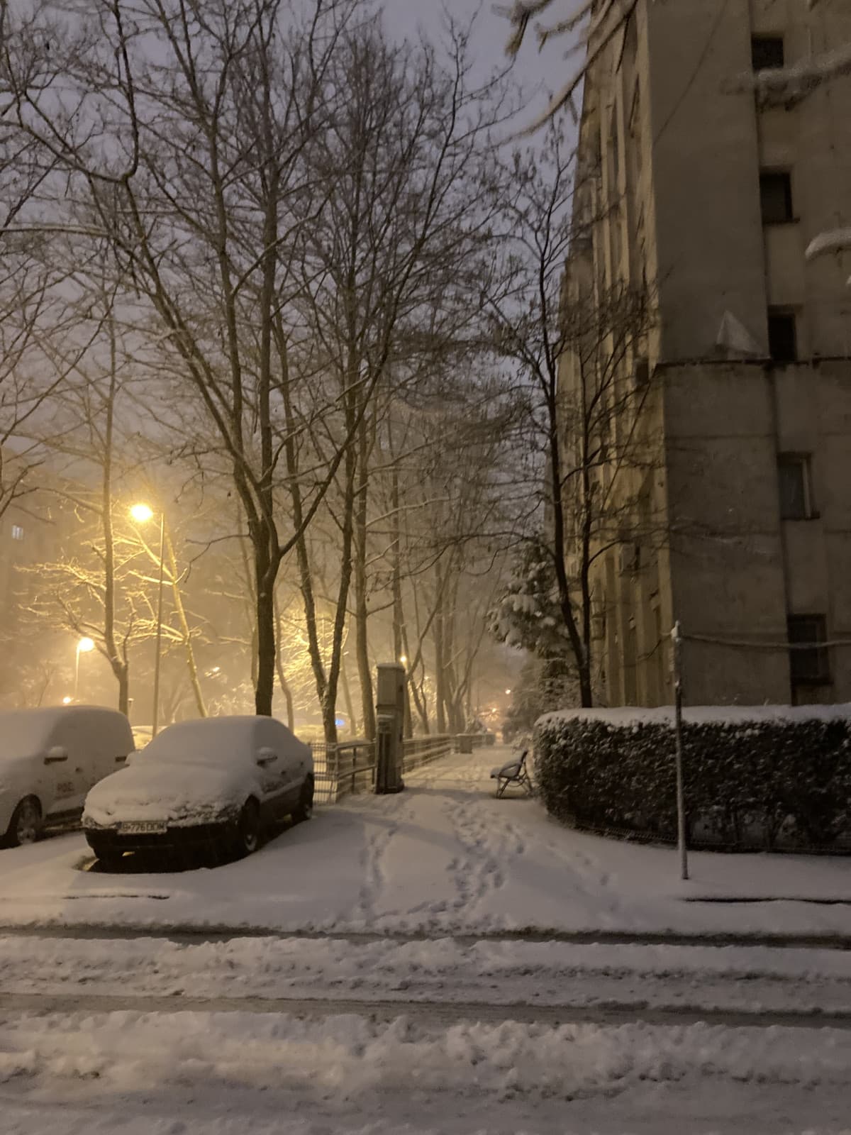 L'inverno è brutto, fa freddo ed è grigio. L'inverno nel frattempo: 