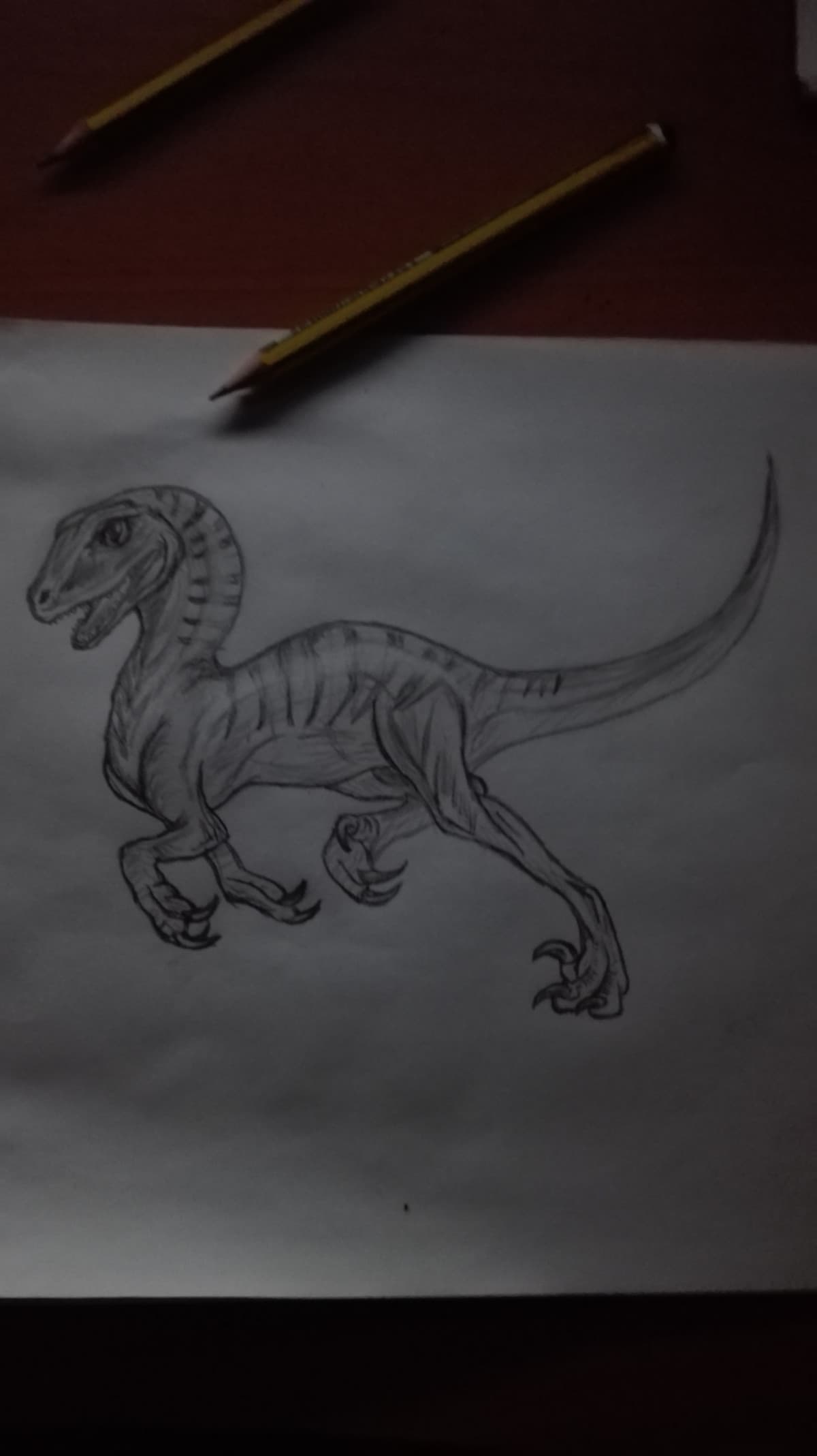 Un dinosauro