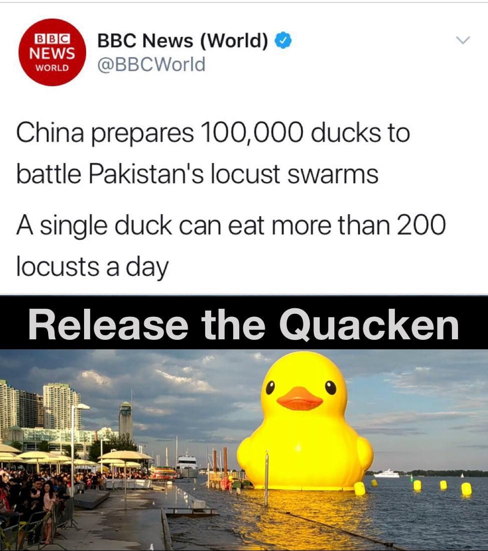 *quack*