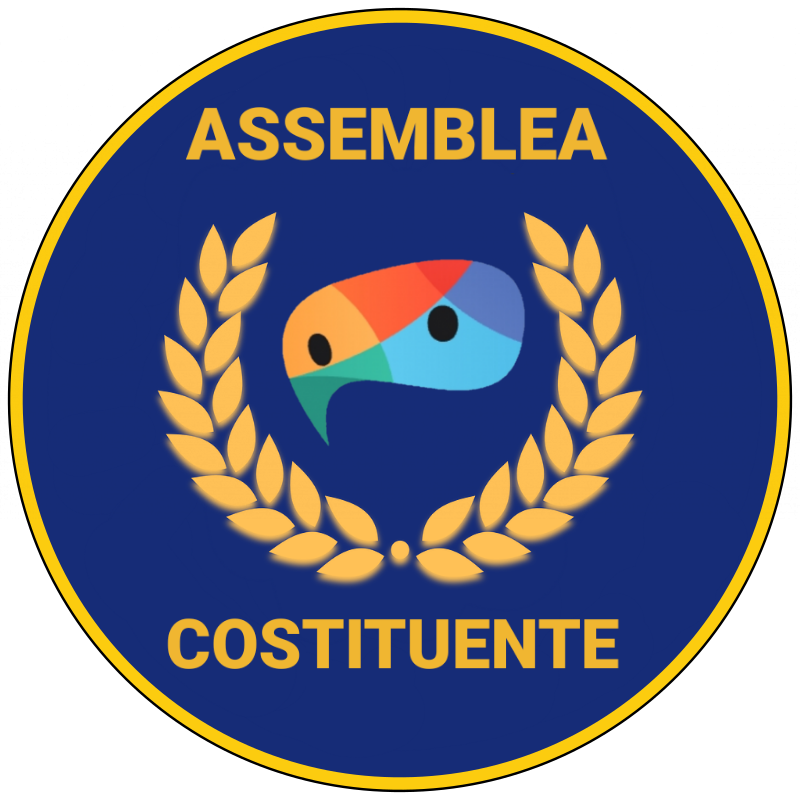 DICHIARO APERTA L'ASSEMBLEA COSTITUENTE