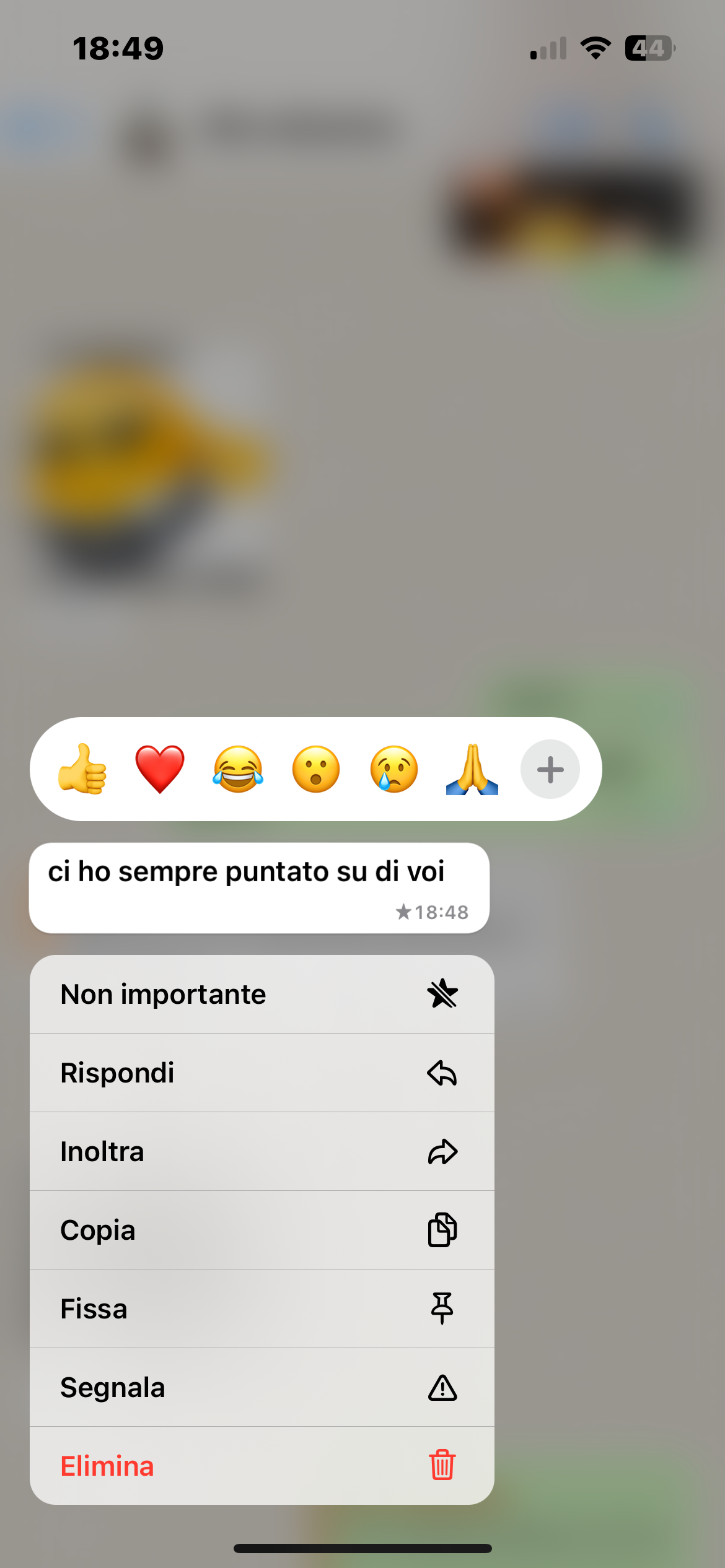 rimetto perché appena me l’ha mandato ero troppo contenta 