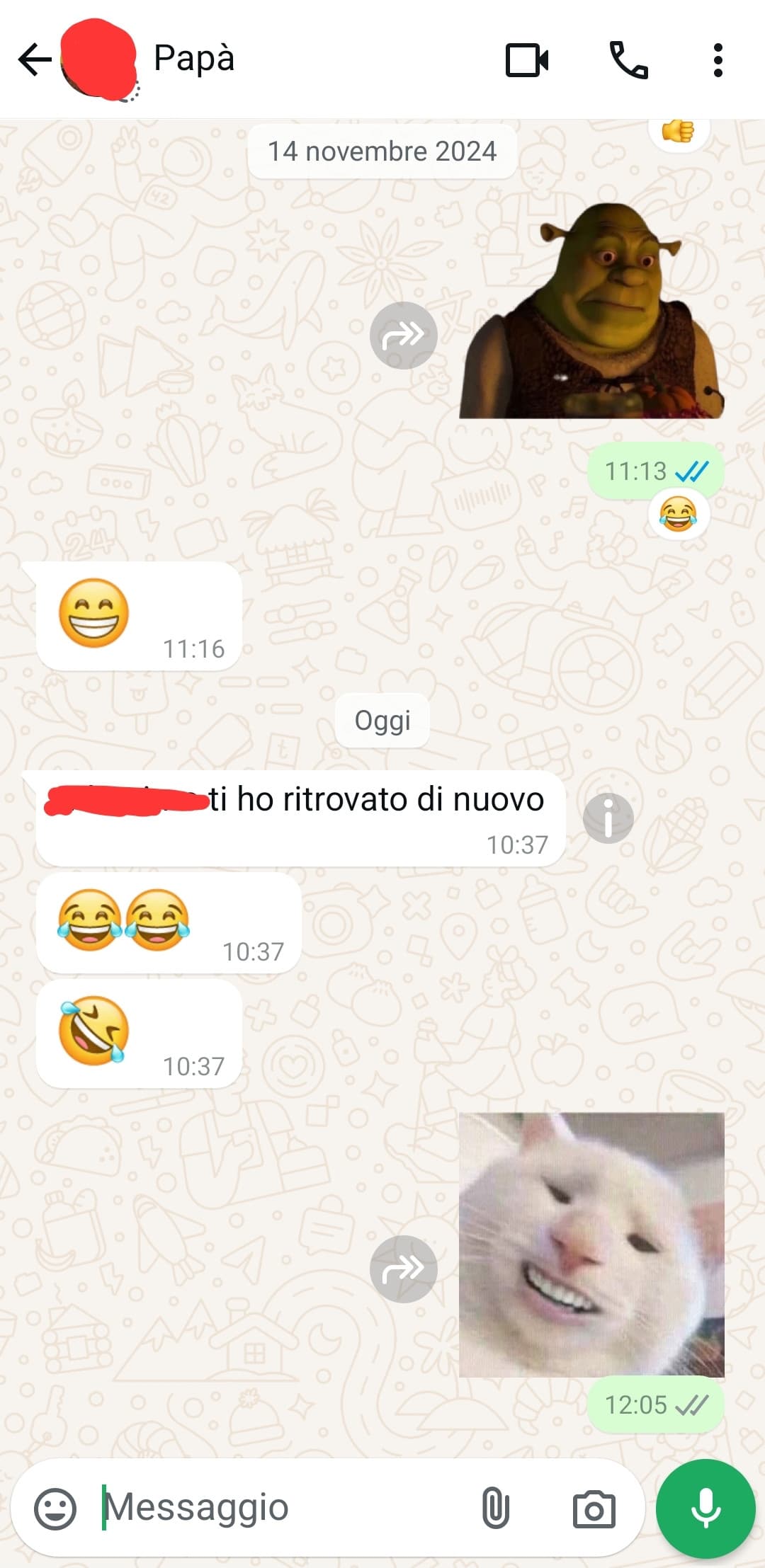 chat con mio papa