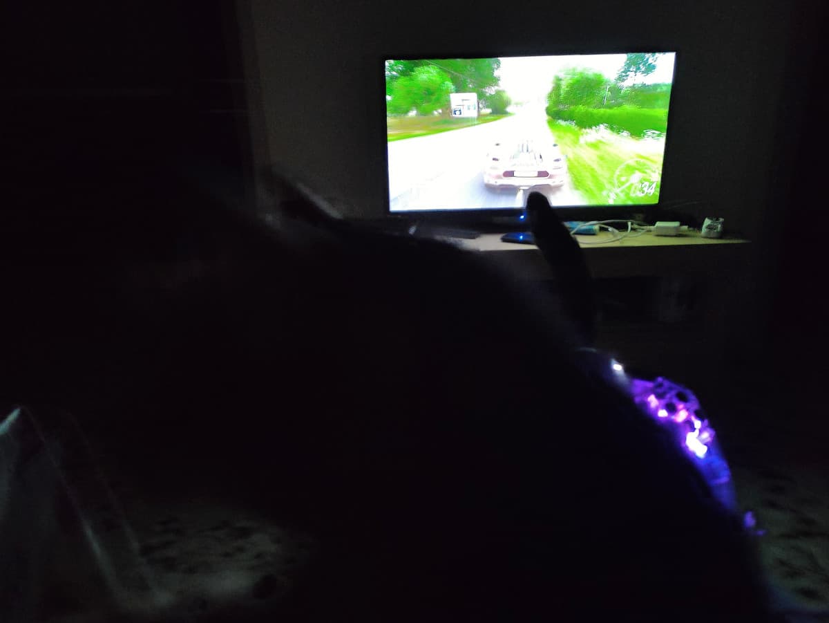 Gamer cat