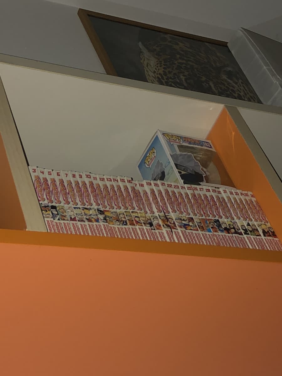 vi esco la mia collezione di naruto