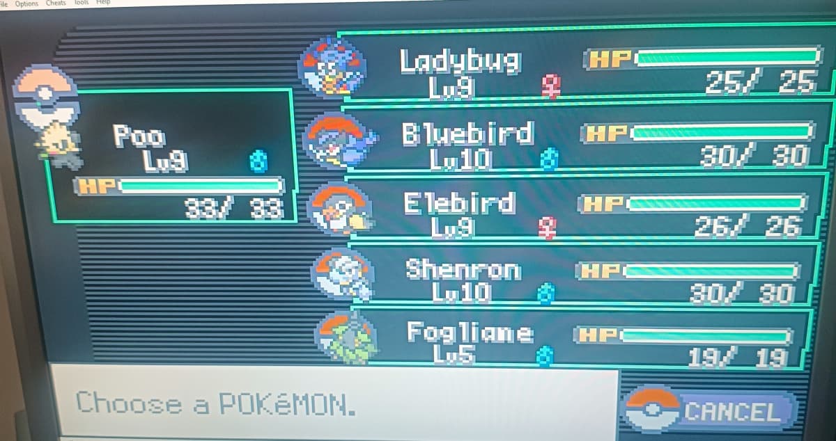 Io e la mia fantasia nei nickname durante le nuzlocke