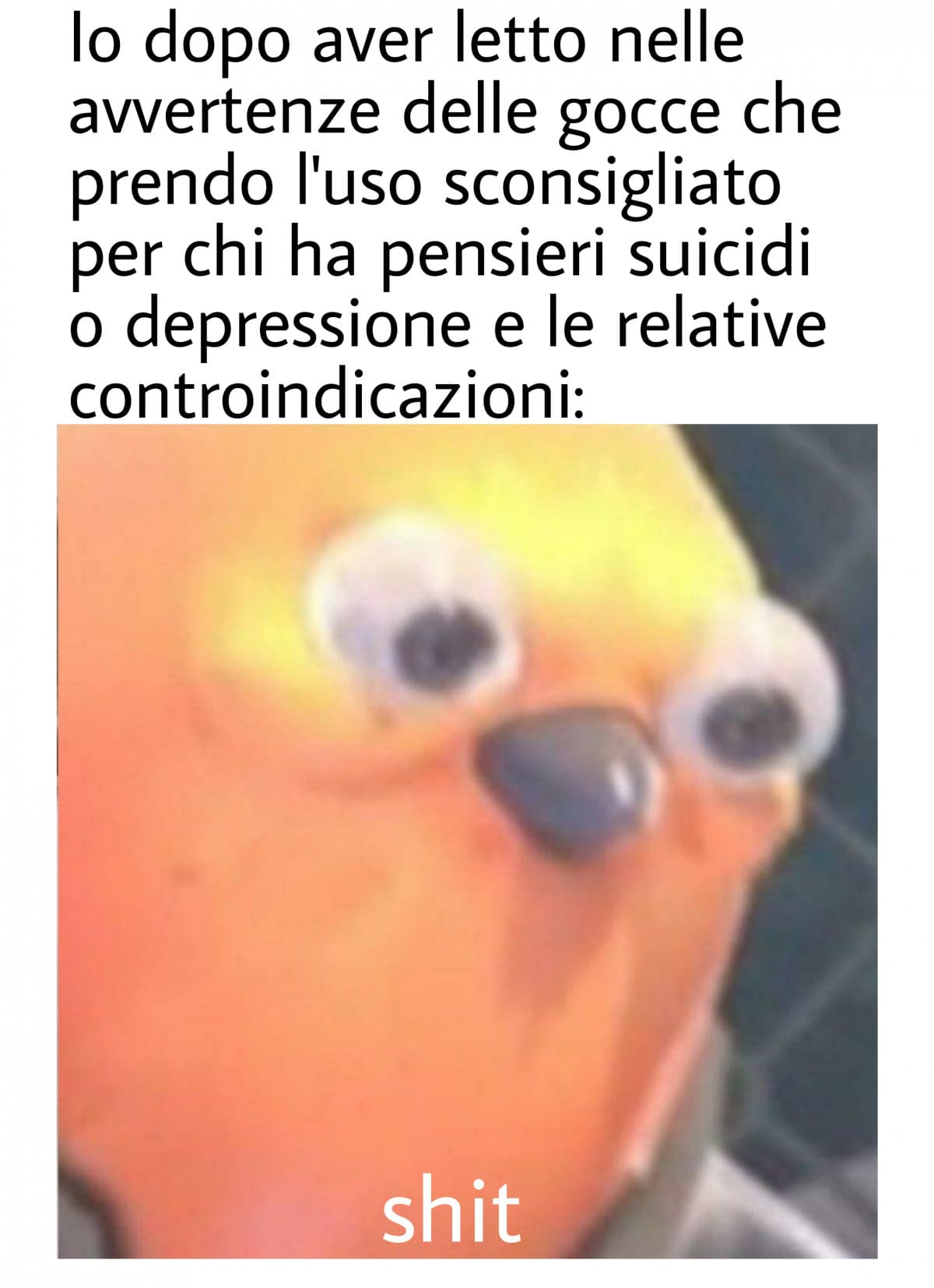 Nulla raga a quanto pare aumentano lo stato di depressione e possono crearti dipendenza okay ci sta