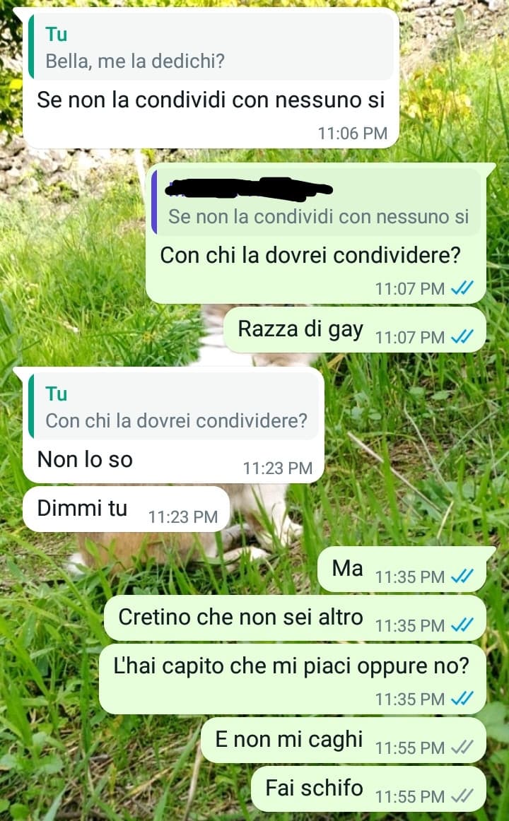 Lo insulto in spagnolo o in italiano? 