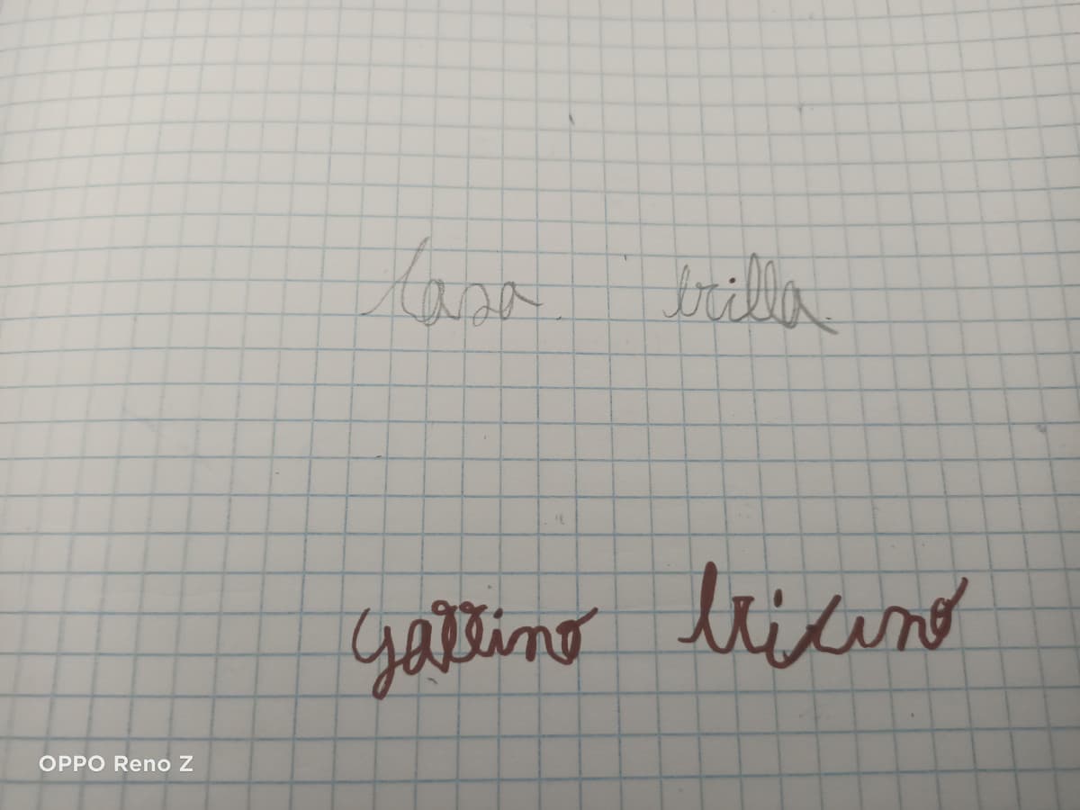 Cosa ne pensate della mia calligrafia?